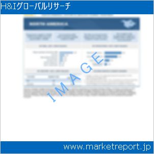 市場と産業調査レポートのイメージ